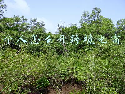 个人怎么开跨境电商