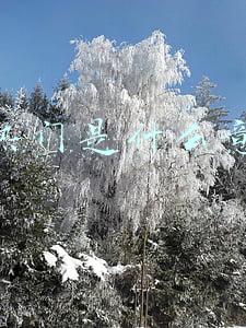 上热门是什么意思