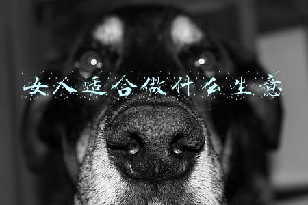 女人适合做什么生意