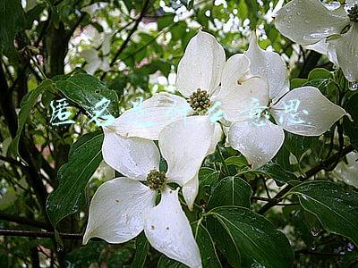 可控匿名是什么意思(央行会掌握用户信息、侵犯隐私吗？穆长春详解数字人民币“可控匿名”)