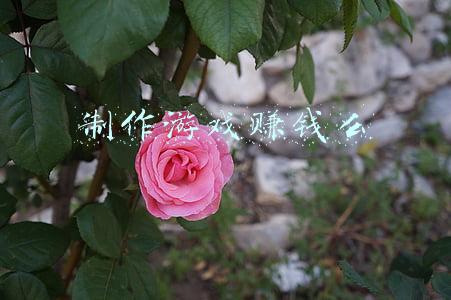 制作游戏赚钱么