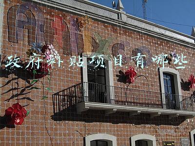 政府补贴项目有哪些