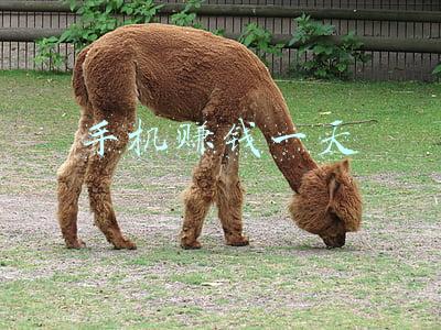 手机赚钱一天