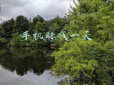 手机赚钱一天