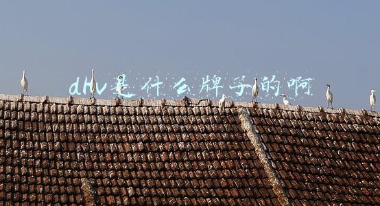 dhv是什么牌子的啊