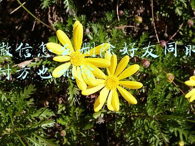 微信怎么删除好友同时对方也删除