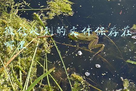 微信收到的文件保存在哪里