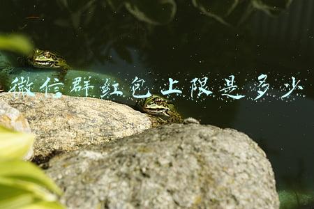 微信群红包上限是多少