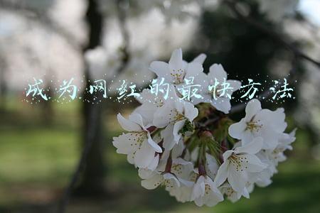 成为网红的最快方法
