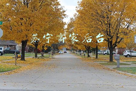 苏宁商家后台