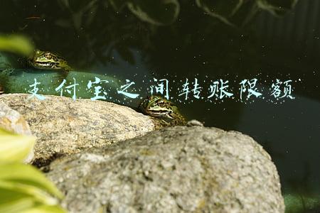 支付宝之间转账限额