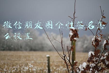 微信朋友圈个性签名怎么设置