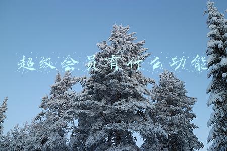 超级会员有什么功能