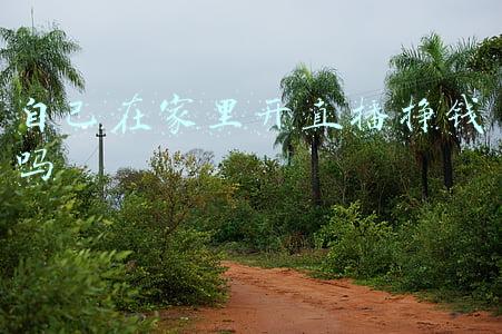 自己在家里开直播挣钱吗