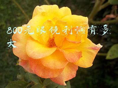 800元眼镜利润有多大