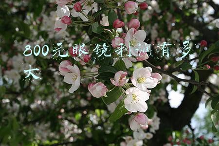 800元眼镜利润有多大
