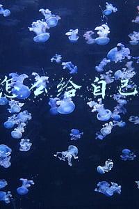 京粉怎么给自己返利