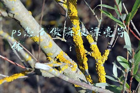 ps怎么做海报漂亮字体