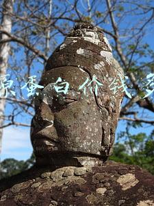 胶原蛋白价钱多少