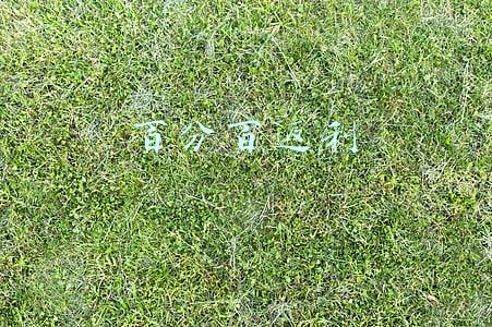 百分百返利