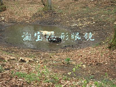 淘宝隐形眼镜磨眼能退吗(藏身网络药房 部分美瞳质量存疑)