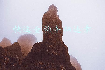 快速查询车辆违章