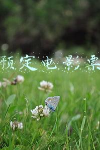 预定电影票