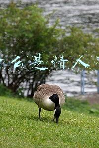 什么是情人节