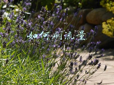 如何刷流量