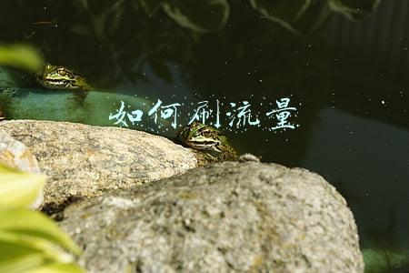 如何刷流量