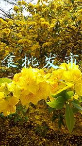 零食批发市场