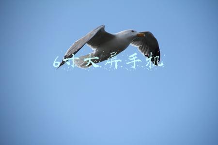 6寸大屏手机