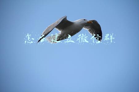 微信群二维码失效后微信群还能正常使用吗(【网络谣言粉碎机】微信群二维码过期后，群就会解散)