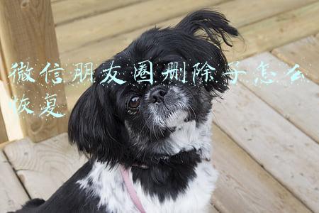 微信朋友圈删除了怎么恢复