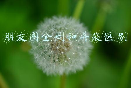 朋友圈全删和屏蔽区别
