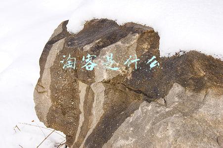 淘客是什么