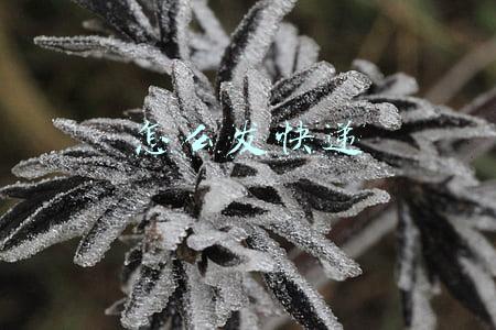 怎么发快递