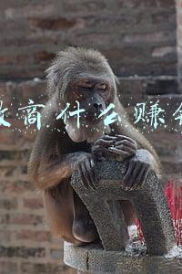 微商什么赚钱