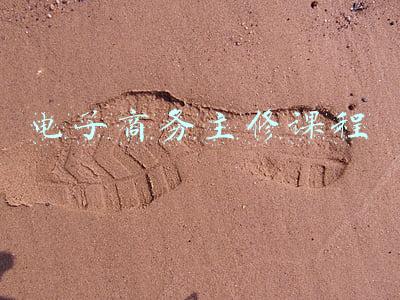 电子商务主修课程