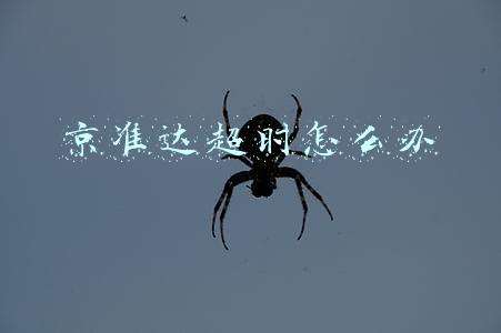 京准达超时怎么办