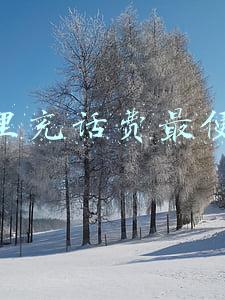 在哪里充话费最便宜的
