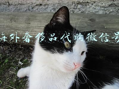 海外奢侈品代购微信号