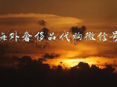 海外奢侈品代购微信号
