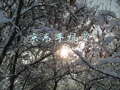 京东手机节