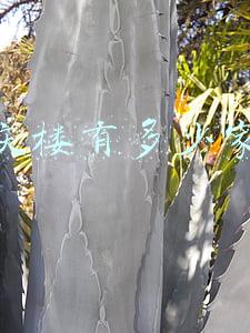 同庆楼有多少家分店，安徽同庆楼集团和梦都集团是什么关系？？