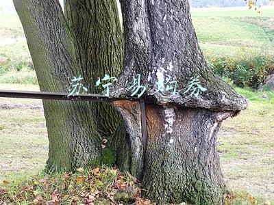 苏宁易购券
