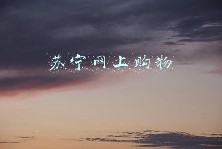 苏宁网上购物