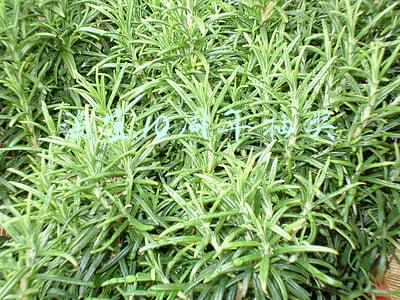 淘宝10周年抽奖
