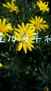 淘宝10周年抽奖