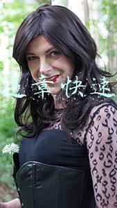 车辆违章快速查询